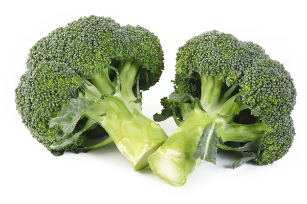 Broccoli vegetabiliska — Stockfoto