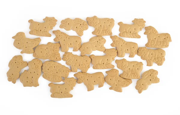 Tierischer Cracker isoliert auf weißem Hintergrund — Stockfoto