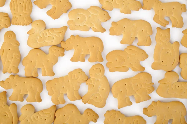 Fondo de galleta en forma de animal —  Fotos de Stock