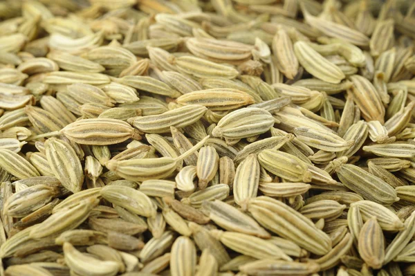Tło nasion kopru włoskiego — Zdjęcie stockowe
