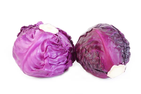 Cabbage isolated on white background — Stock Photo, Image