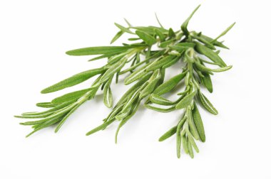 Biberiye baharat