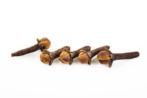 Cloves herb — Stock Photo, Image