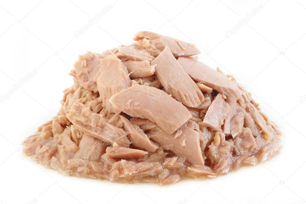  canned tuna fish on white background