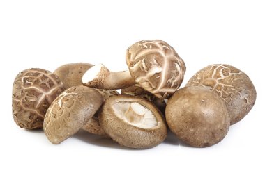 Beyaz arka planda izole edilmiş taze shiitake mantarı.