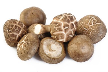 Beyaz arka planda izole edilmiş taze shiitake mantarı.