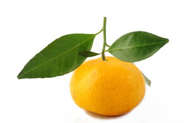 Beyaz arka plan üzerinde izole olgun mandalina meyve