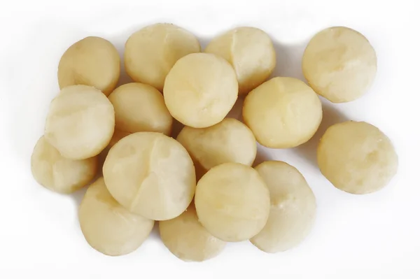 Orzechy makadamia na białym tle Zdjęcie Stockowe