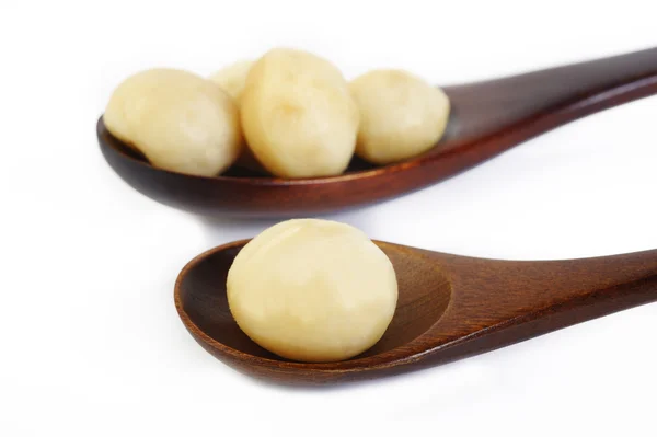 Macadamia nuts on background — Stock Photo, Image