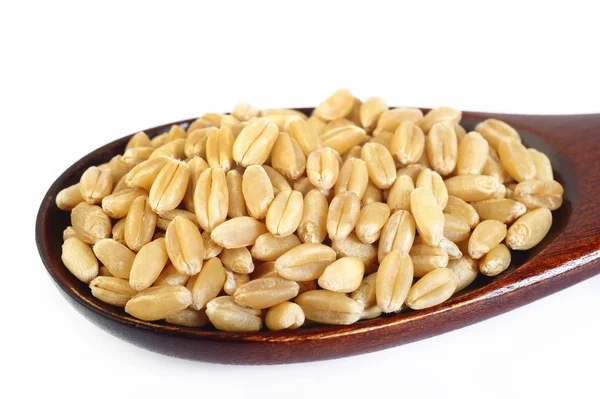 Pearl barley in wooden spoon — Stock Photo, Image