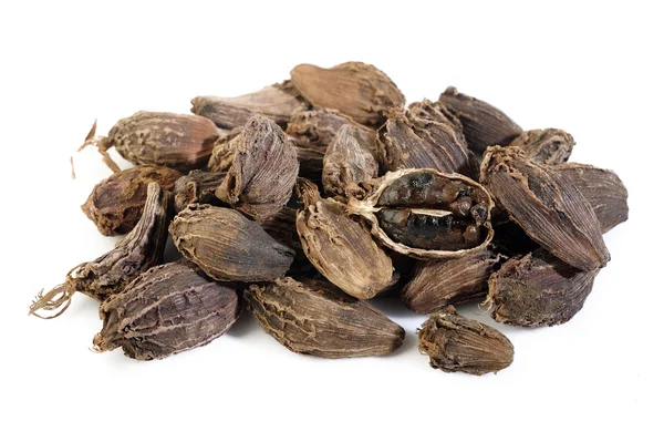 Cardamomo nero isolato su sfondo bianco — Foto Stock