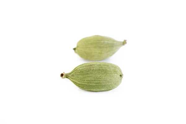 Vagens de cardamomo verde isoladas em branco — Fotografia de Stock