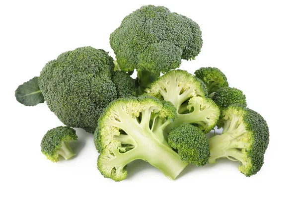 Broccoli plantaardige op wit — Stockfoto