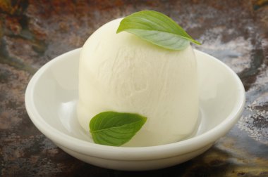 taze mozzarella peyniri 