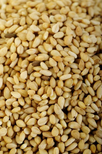 Roasted sesame seeds background — Stock Photo, Image