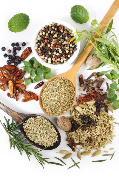 taze lezzet bitki ve baharat beyaz zemin üzerine