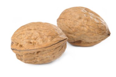 beyaz arkaplanda ceviz