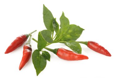 Kırmızı Pul biber ve yaprak beyaz zemin üzerine