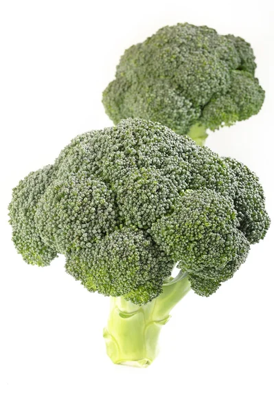 Brocoli légume sur fond blanc — Photo