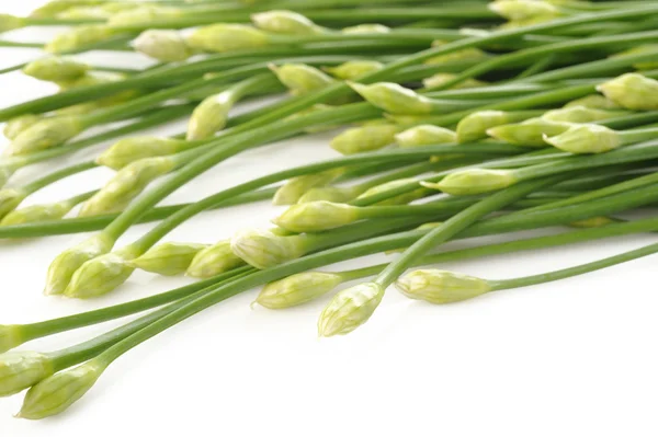 Sarımsak chives — Stok fotoğraf