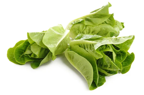 Cos lettuce on white — Stock Photo, Image