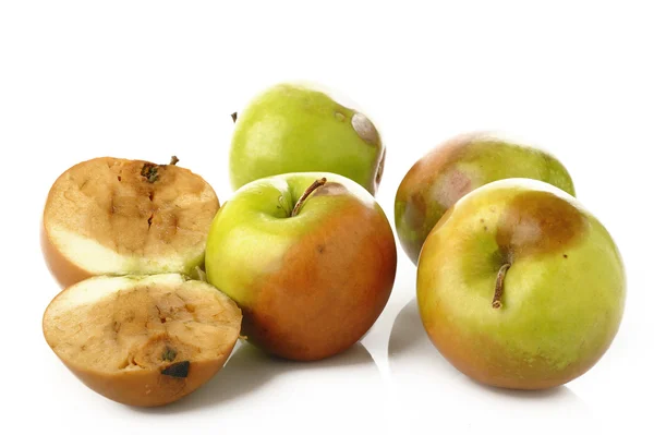 Rotten apples — Stock Photo, Image