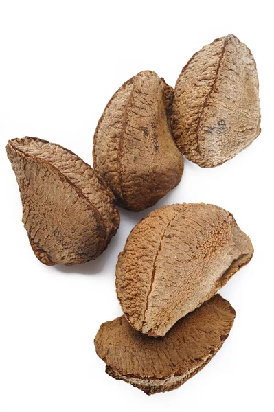 Brazil nut on background — Stock Photo, Image