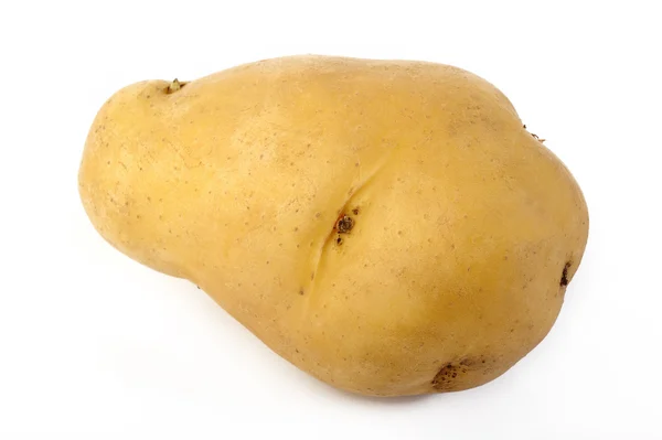 Сира картопля на білому — стокове фото