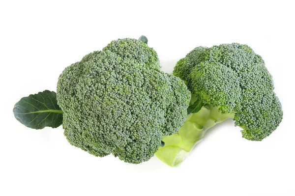 Broccoli op witte achtergrond — Stockfoto