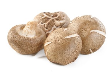 Beyaz arka planda taze shiitake mantarları