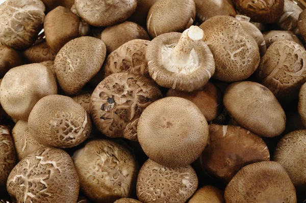 Fresh shiitake mushrooms background — Stock Photo, Image