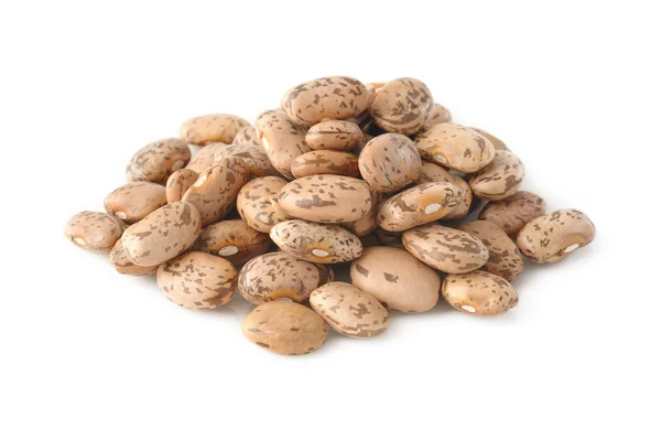 beyaz zemin üzerine Pinto fasulyesi