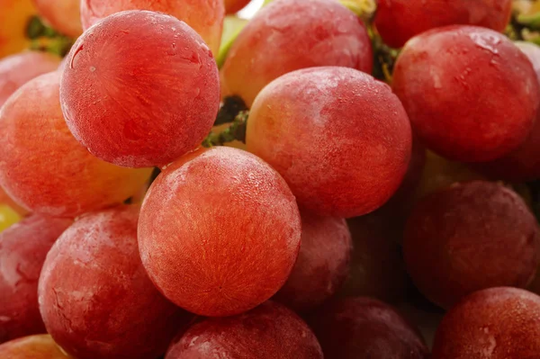 Uvas rojas frescas aisladas sobre fondo blanco —  Fotos de Stock