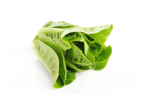 Cos lettuce on white background — Stok Foto