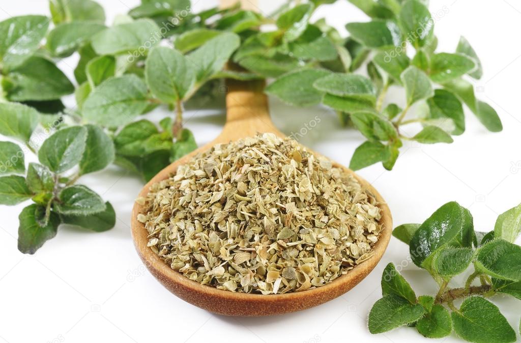 Dried oregano leaves on wooden spoon — Stock Photo ...