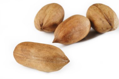 pekan somun beyaz zemin üzerine