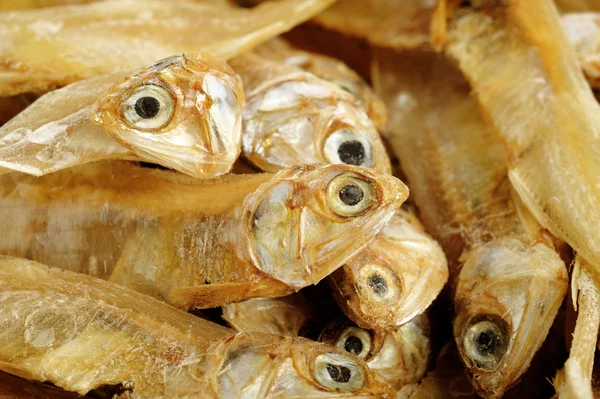 Dried fishes — Stock Photo, Image