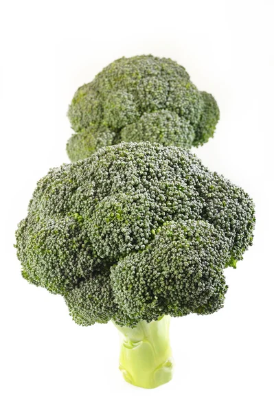 Ruwe broccoli plantaardige op witte achtergrond — Stockfoto