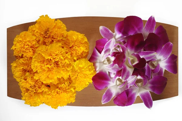 Marigold flower and purple orchid flower — Stock Photo, Image