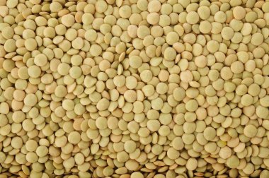 Yeşil mercimek arka plan