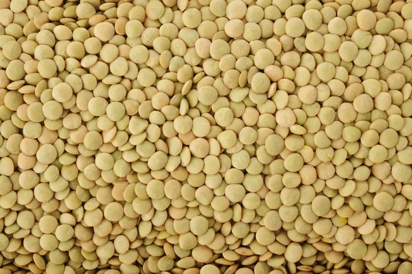 Green lentils background — Stock Photo, Image