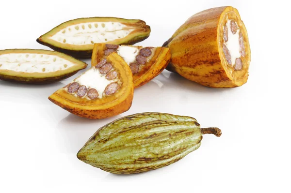 Cacao sobre blanco —  Fotos de Stock