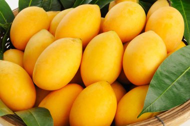 Marian Erik veya maprang