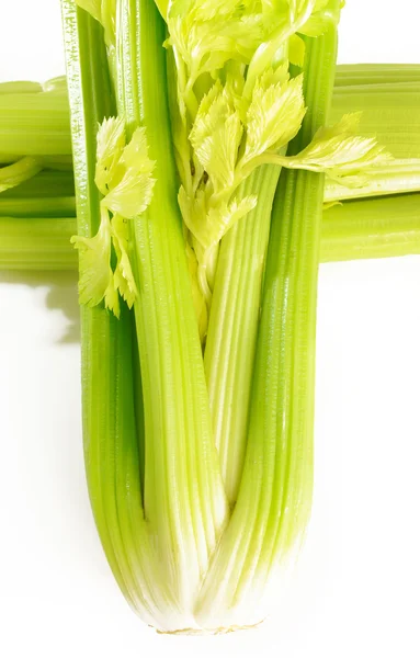 Frischer grüner Sellerie auf weißem Hintergrund — Stockfoto