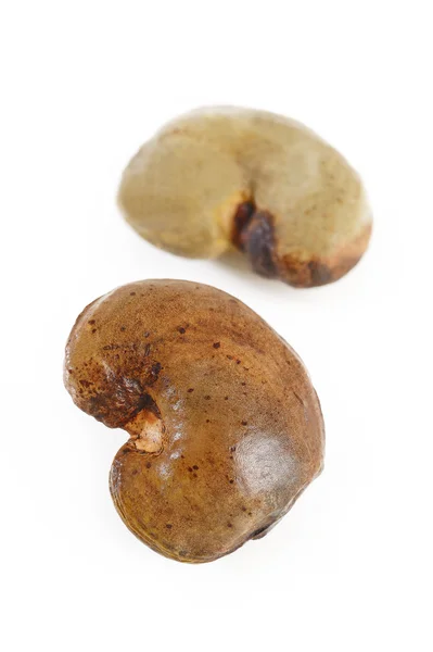 Raw cashew — Stock Photo, Image