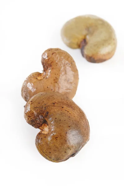 Raw cashew nuts — Stock Photo, Image