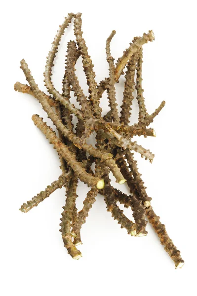 Tinospora cordifolia kruid op witte achtergrond — Stockfoto