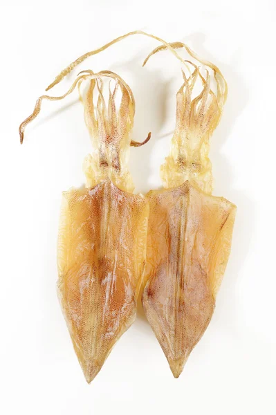 Twee droge squid — Stockfoto