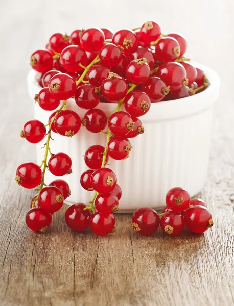 Redcurrants in white bowl — Stock Photo, Image