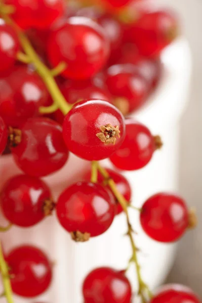 Fresh redcurrants in bowl — Stock Photo, Image